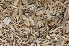 biomass boilers Pentrefoelas